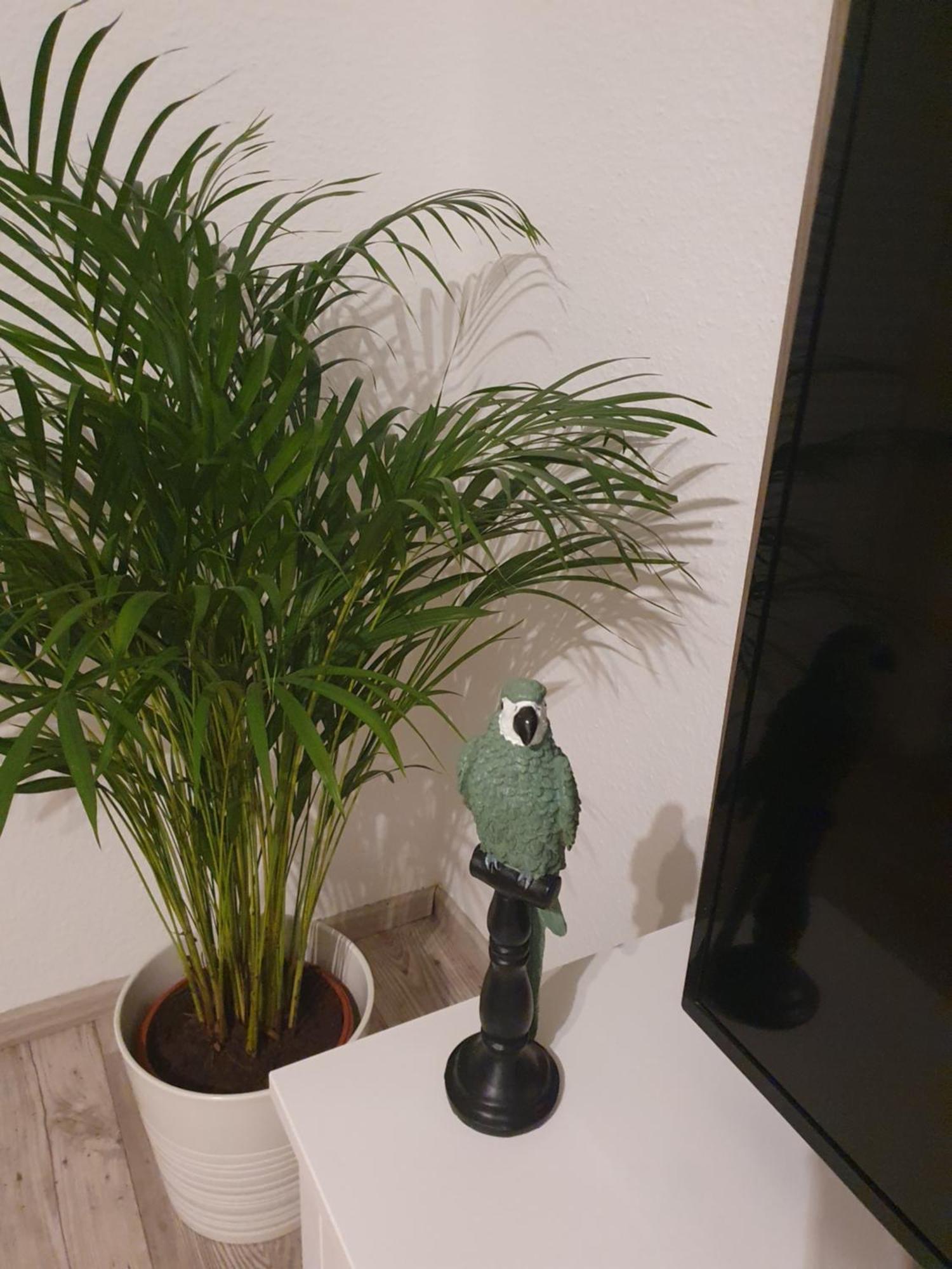 Charmante Haushaelfte Mit Garten Und Terrasse フレンスブルク 部屋 写真